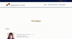 Desktop Screenshot of hommagenb.com